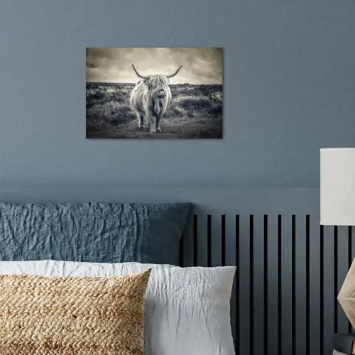 Schotse hooglander - Dieren - Wolken - Koe - Natuur poster papier klein -sfeer2