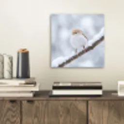 Vogeltje - Sneeuw - Tak - Winter - Zacht aluminium wit klein -sfeer1