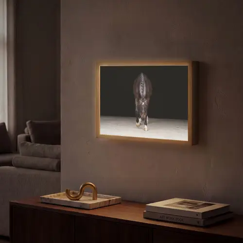 Paard - Modern - Portret Light Box met batterij (Wandlamp) middel -sfeer1