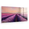 Lavendelveld - Zonsondergang - Paars - Bloemen plexiglas 5mm klein -zzzproduct_nieuw