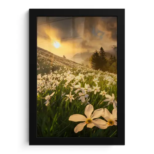 Bloemenveld - Heuvels - Zonsondergang - Berg - Natuur - Wit - Heuvels fotolijst zwart zonder passe partout klein -3d