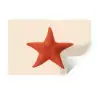 Zeester - Bobbels - Rood Muursticker klein -3d
