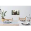 Bruine beer - Wilde dieren - Bloemen - Planten Muursticker klein -eettafel