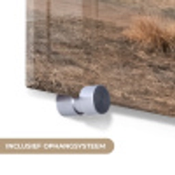 Windmolens - Landschap - Veld plexiglas 5mm klein -zzsysteem_NL