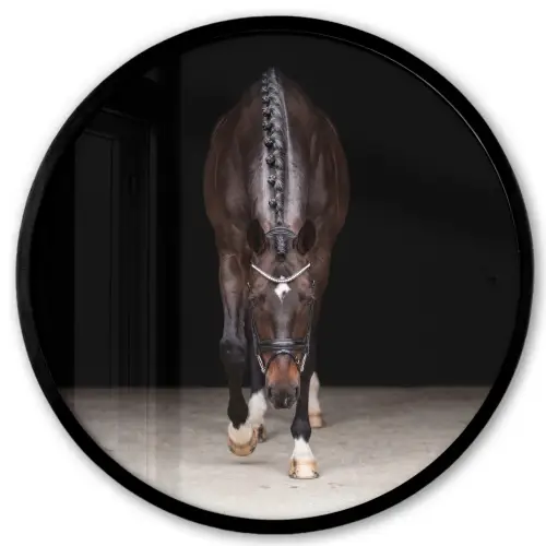Paard - Modern - Portret Fotolijst rond zonder passe partout klein -3d