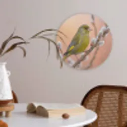 Groenling - Katjes - Lente - Natuur - Zacht Akoestische PET Vilt - Rond klein -sfeer3