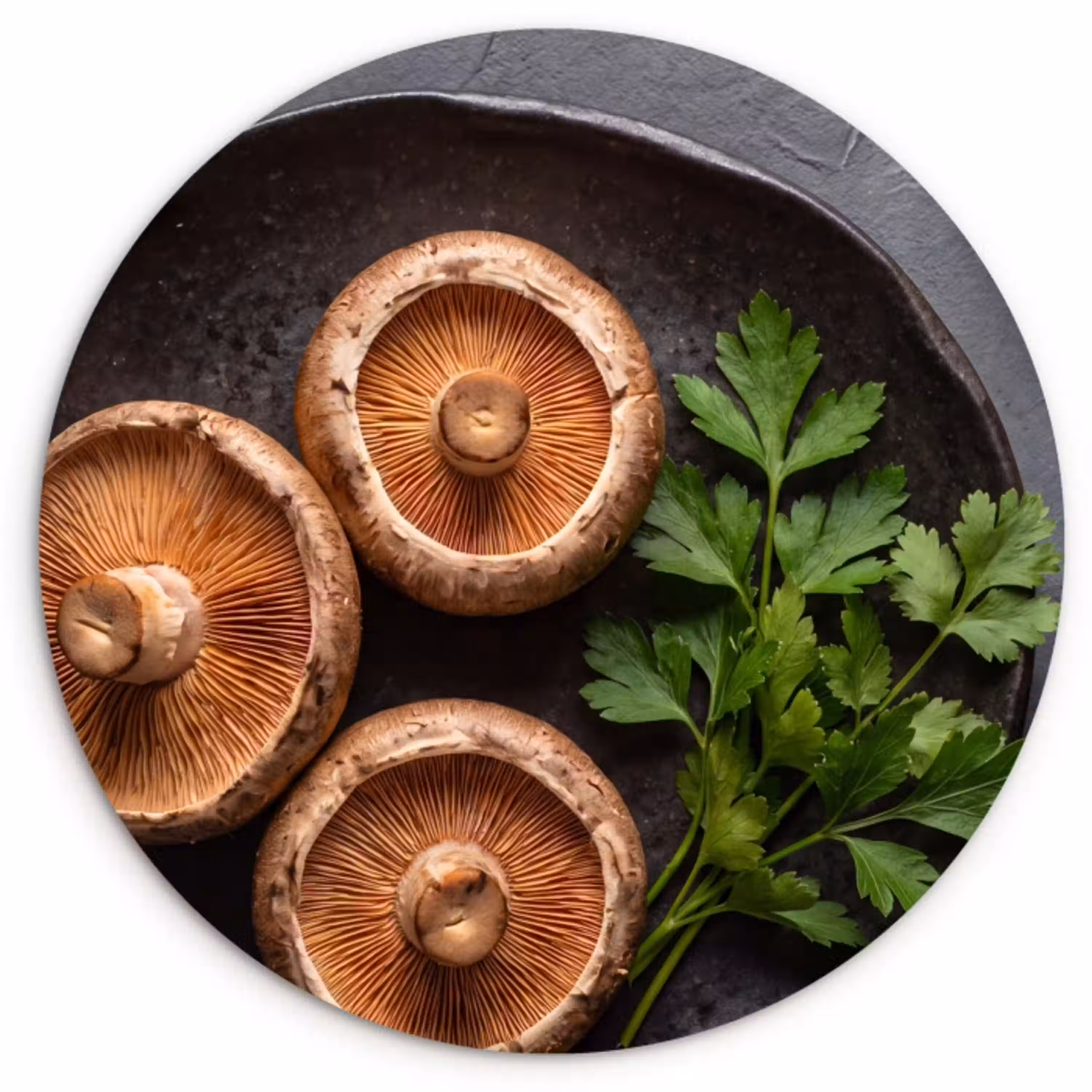 Paddestoelen - Kruiden - Eten Wandcirkel plexiglas klein -3d