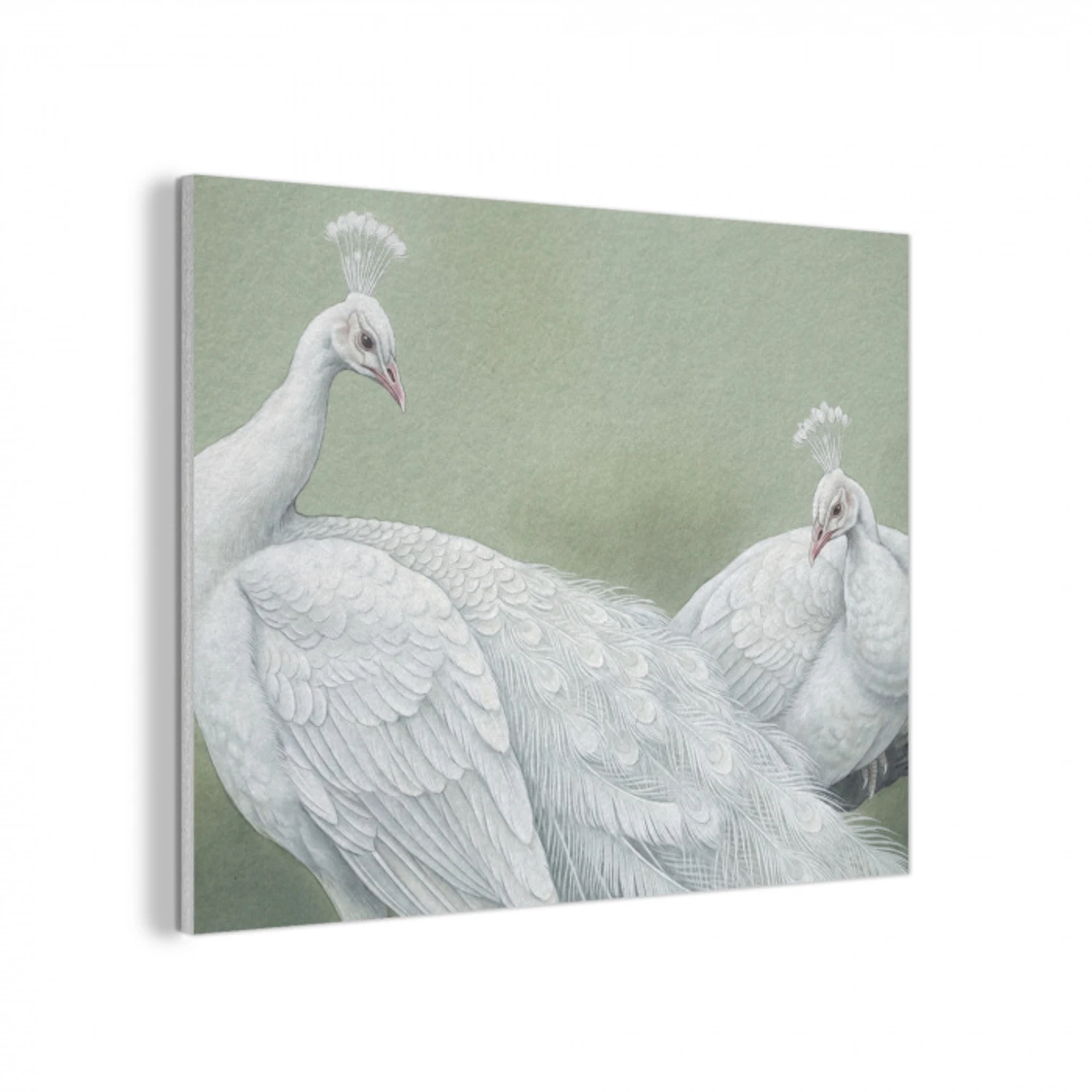 Pauwen - Wit - Natuur - Groen PET vilt klein -3d