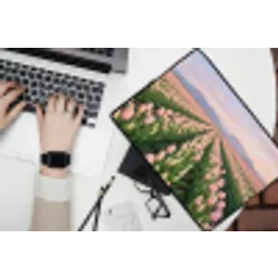 Tulpen - Landschap - Roze laptophoes neopreen klein -bureau