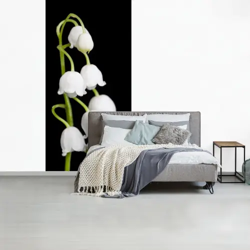 Lelietjes van dalen - Bloemen - Zwart - Flora fotobehang vinyl groot -slaapkamer