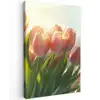 Tulpen - Roze - Zonnestralen Tuinposter op houten frame 2 cm dik klein -3d