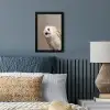 Uil - Bruin - Wit fotolijst zwart zonder passe partout klein -sfeer3