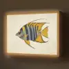 Vis - Sierlijk - Vinnen - Illustratie Light Box met batterij (Wandlamp) middel -z3d_website