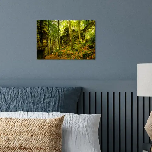 Bomen - Steen - Bos - Natuur - Planten poster papier klein -sfeer2