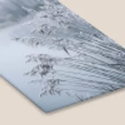 Riet - Bevroren - Winter - Natuur fotolijst zwart zonder passe partout klein -zsfeer6