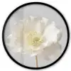Bloem - Minimalistisch -Wit Fotolijst rond zonder passe partout klein -3d