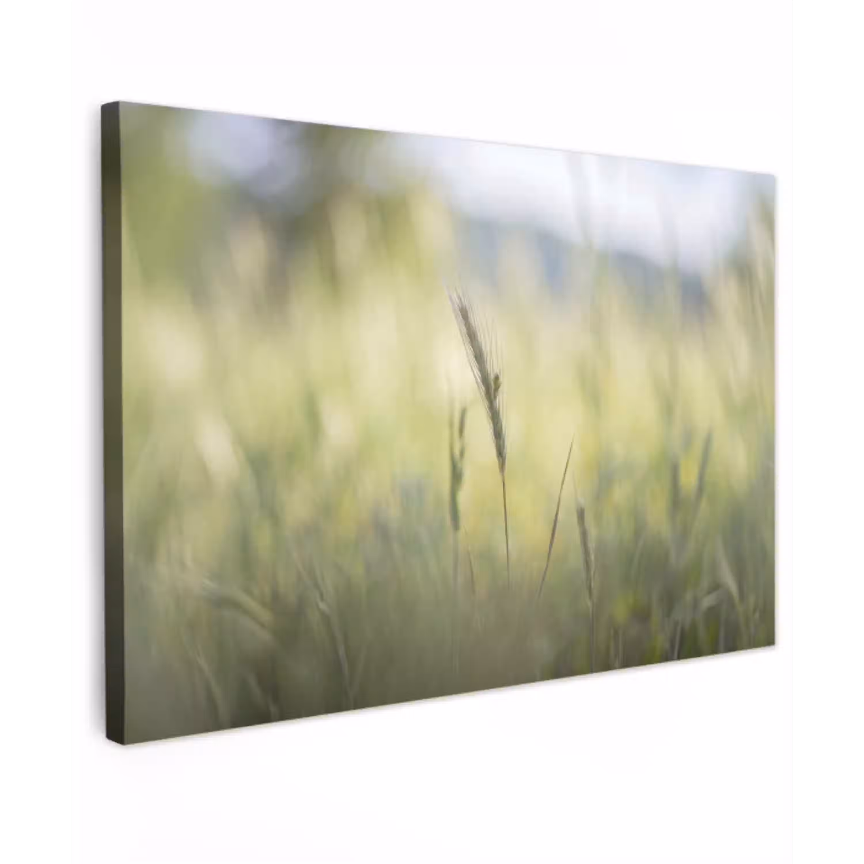 Graan - Aar - Natuur - Groen - Detail canvas 2cm klein -z3d
