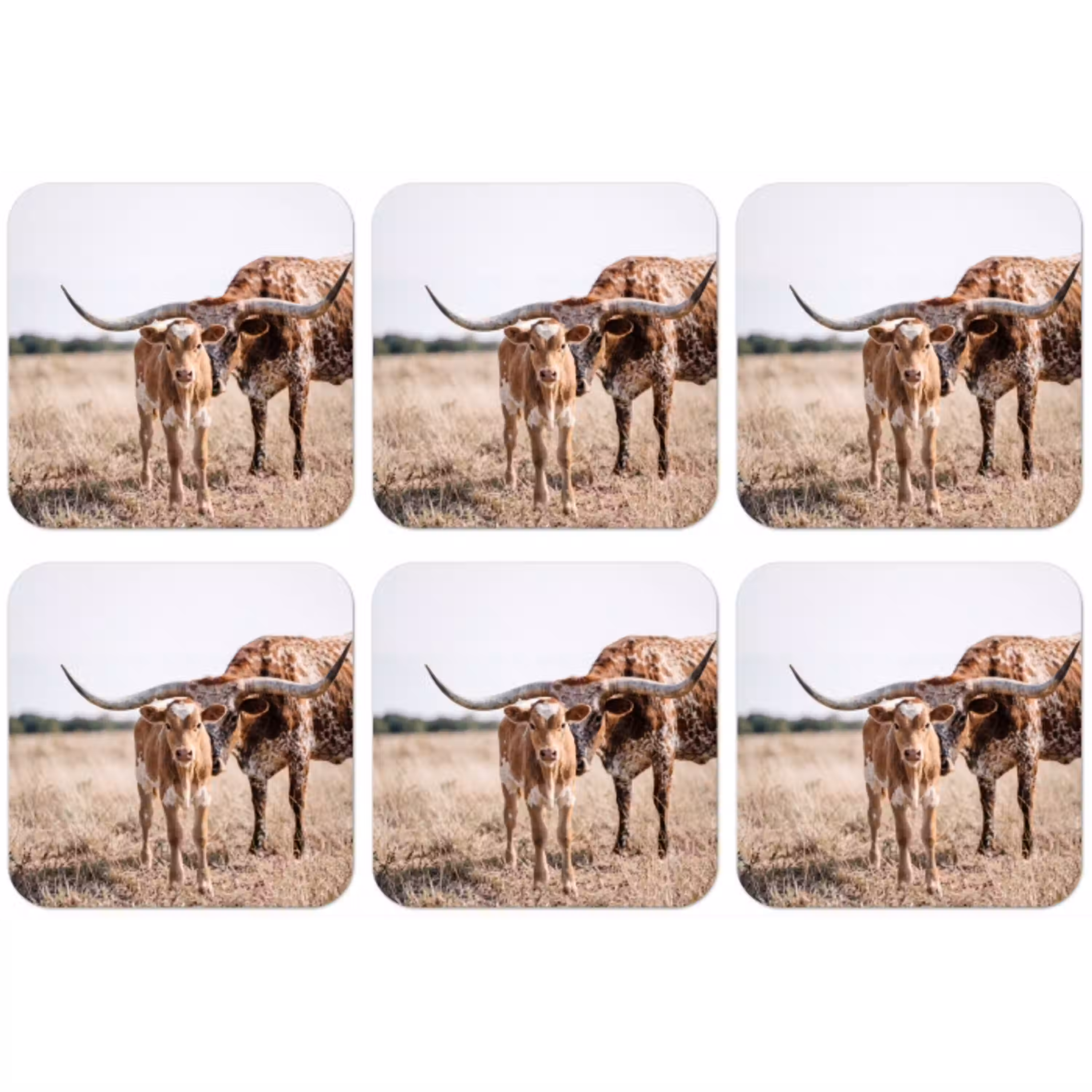 Texas Longhorn - Kalf - Weide - Dieren onderzetter kurk middel -zkaufland3dotto