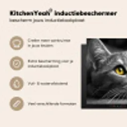 Blik van Goud Inductie beschermer vinyl 3mm middel -sfeer2