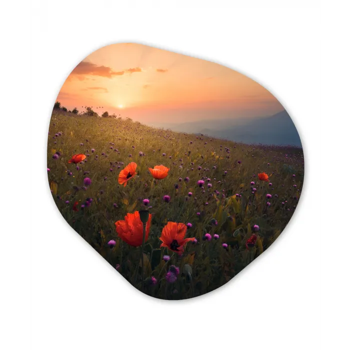 Bloemenveld - Gras - Bloemen - Planten - Zonsondergang - Oranje Wandcirkel Organisch Forex 3mm klein -3d