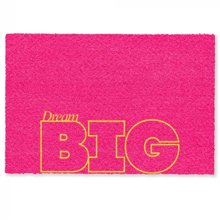 Minimalistisch - Roze - Dream big - Grafisch Deurmat klein -zkaufland3d
