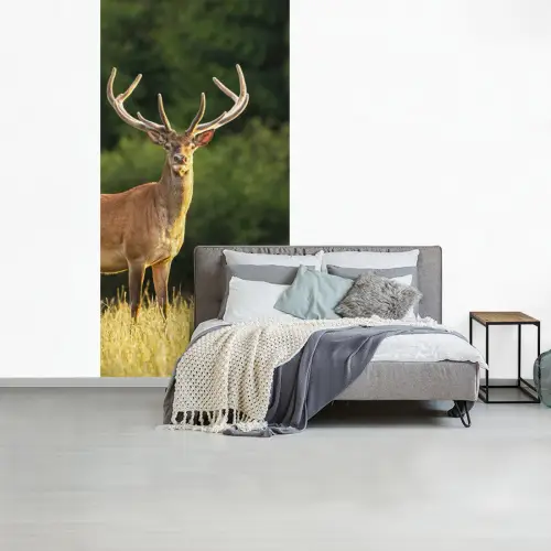 Hert - Gewei - Gras - Natuur - Dieren - Groen fotobehang vinyl groot -slaapkamer