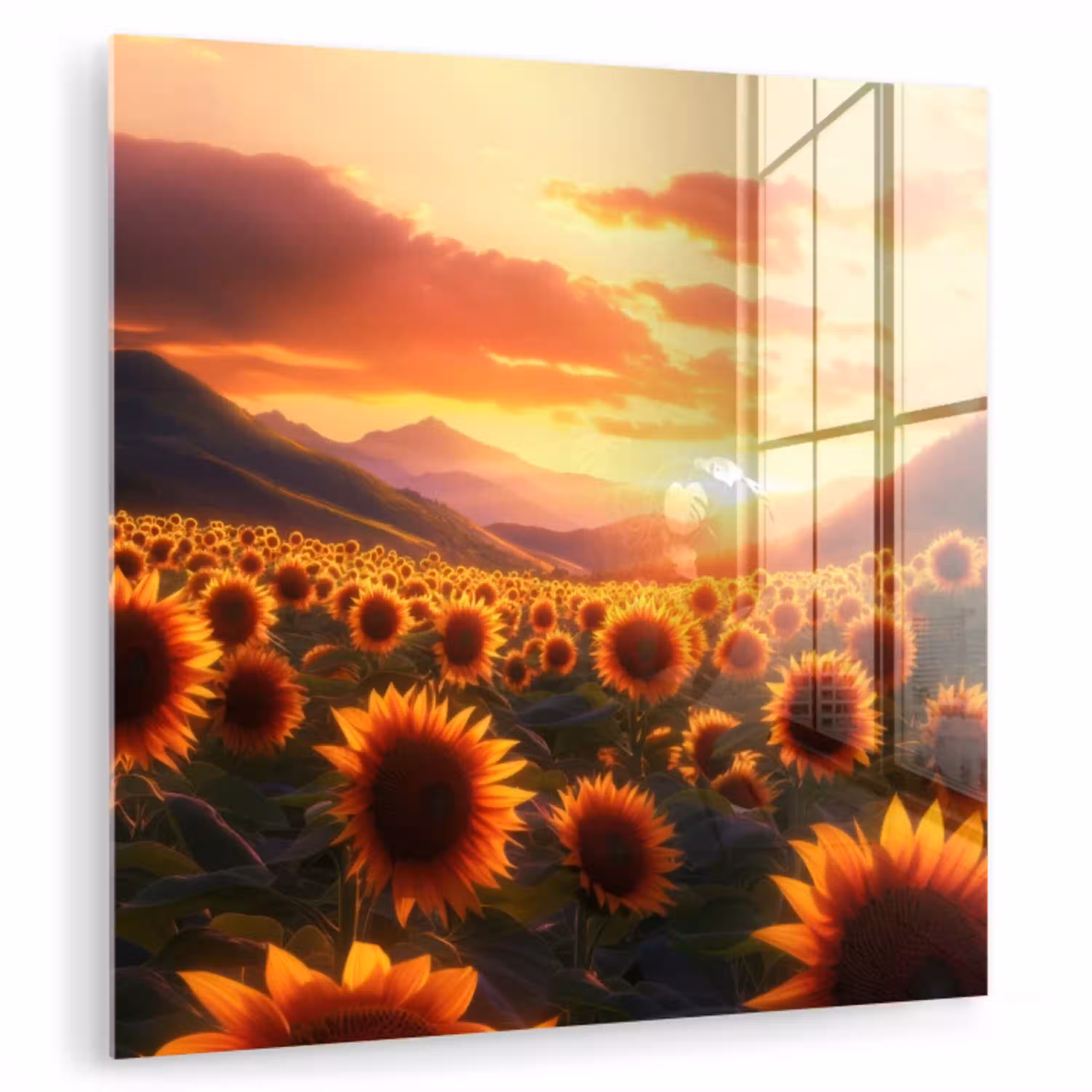 Zonnebloemen - Zonsondergang - Landschap plexiglas 5mm klein -zzzproduct_nieuw