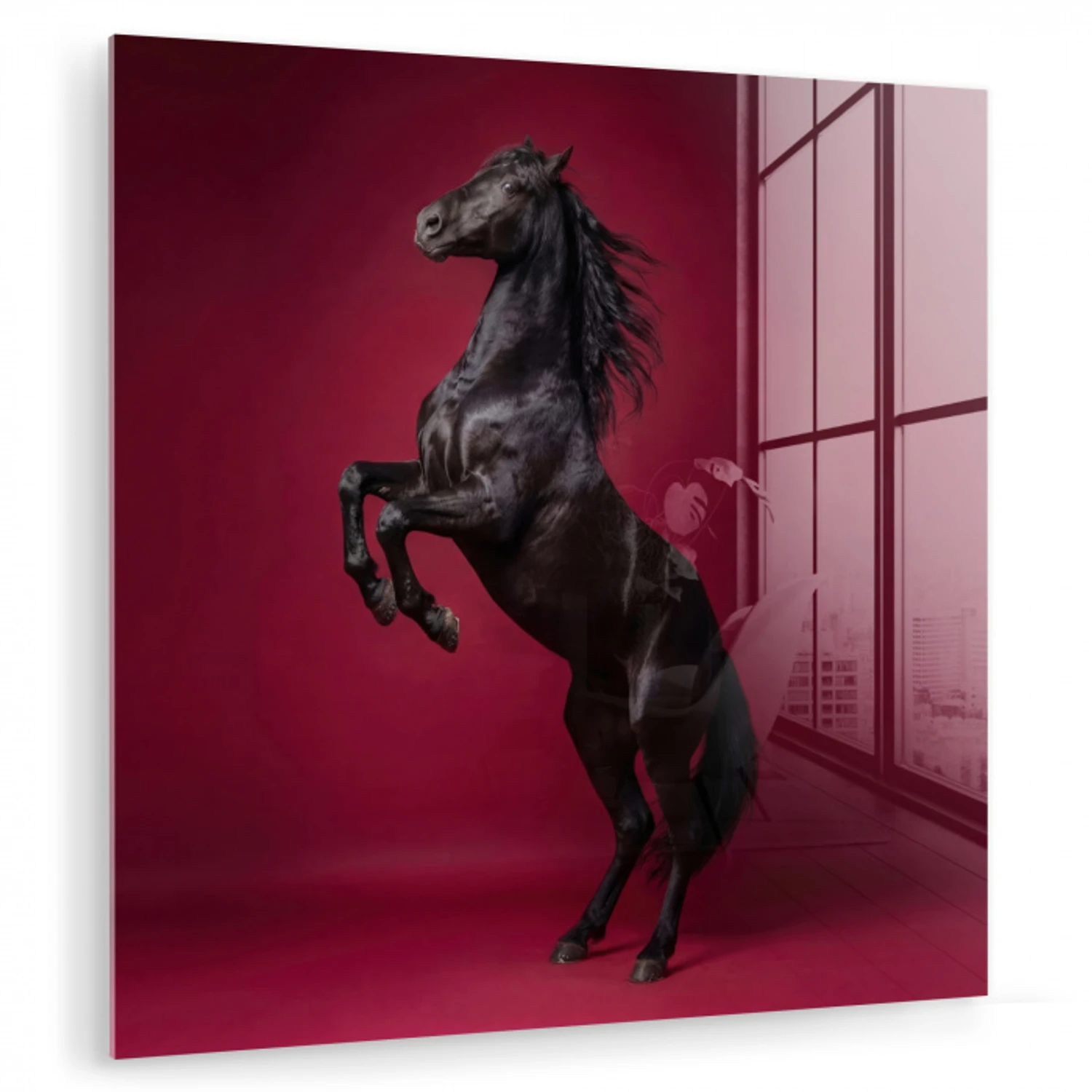 Hengst - Steigert - Rood plexiglas 5mm klein -zzzproduct_nieuw