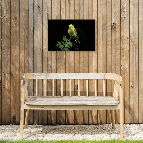 Parkiet - Tak - Bladeren - Geel Tuinposter op houten frame 2 cm dik klein -sfeer4