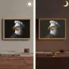 Arend -Amerika - Koksmuts - Vogel - Stoer Light Box met batterij (Wandlamp) middel -sfeer3