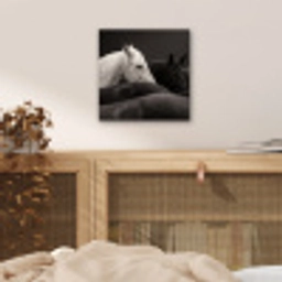 Paarden - Zwart - Wit - Kudde aluminium wit klein -sfeer3