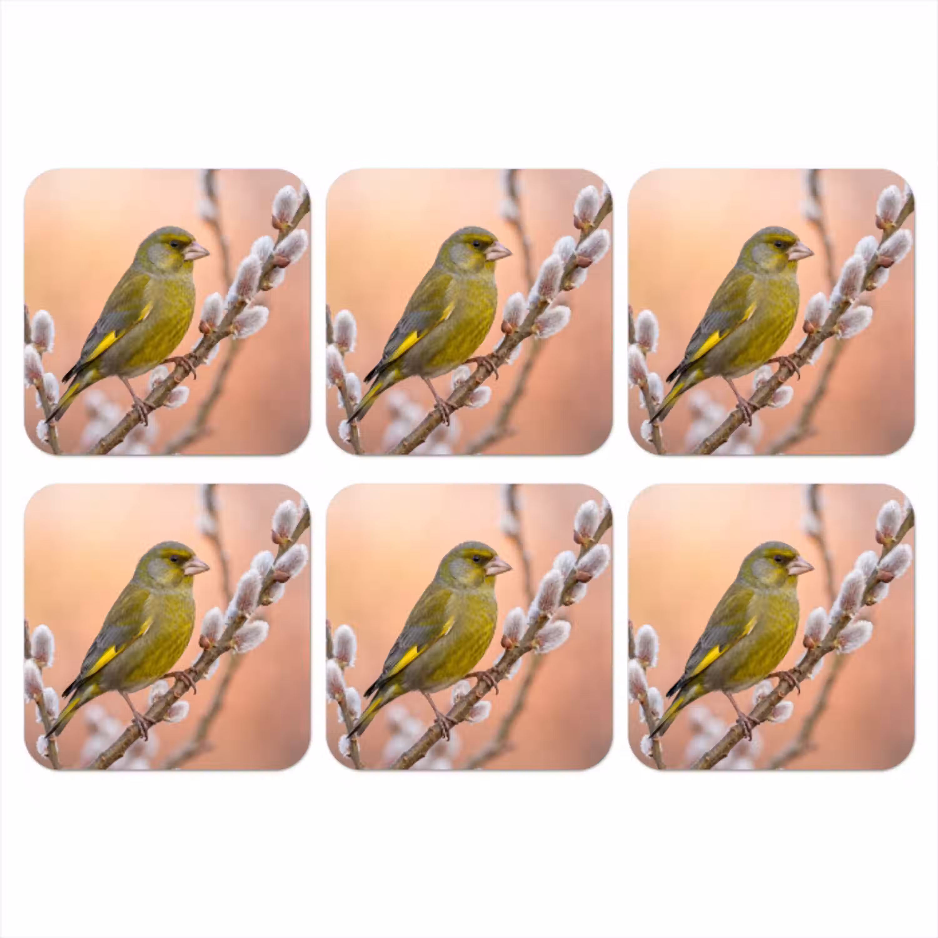 Groenling - Katjes - Lente - Natuur - Zacht onderzetter kurk middel -3d