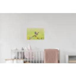 Vogel - Tak - Natuur - Kleurrijk Muursticker klein -kinderkamer