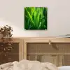 Grassprieten - Lichtinval - Groen plexiglas 5mm klein -sfeer4
