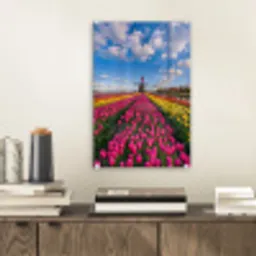 Tulpen - Holland - Molen - Kleurrijk plexiglas 5mm klein -sfeer1