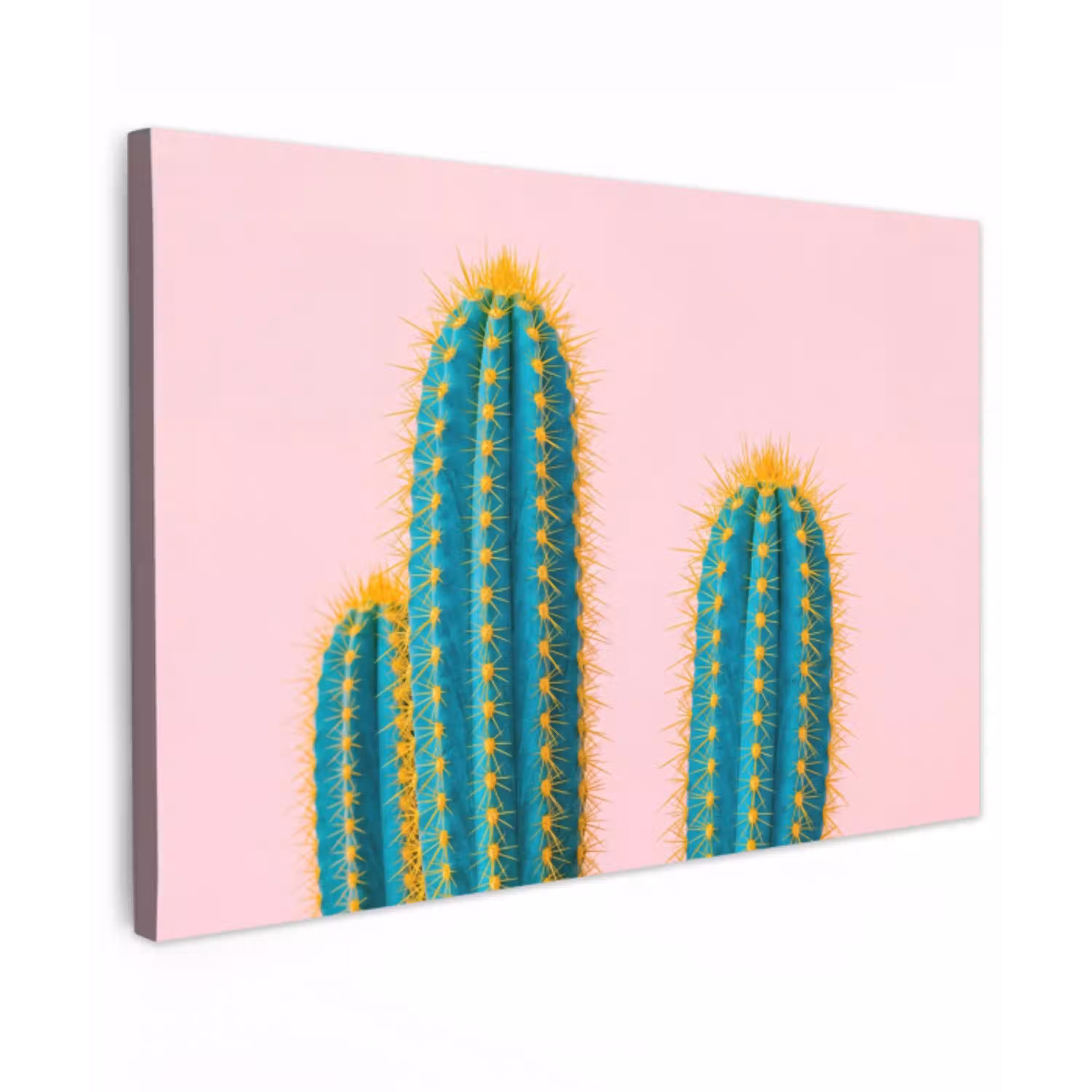 Cactussen - Modern - Pastel Tuinposter op houten frame 2 cm dik klein -3d