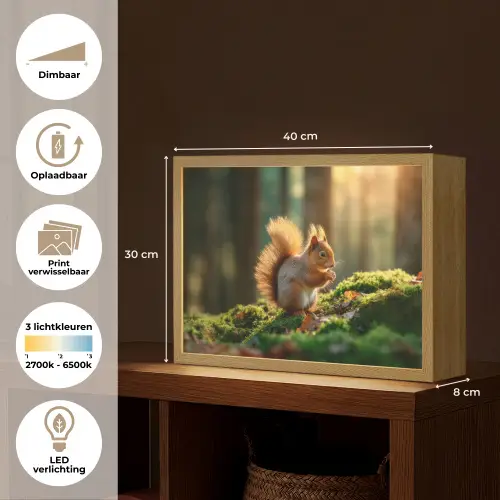Eekhoorn - Nootje - Gras Light Box met batterij (Wandlamp) middel -USP_websiteoverzichtNL