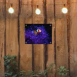 Koraal - Vis - Oranje - Zee tuinposter los doek klein -sfeer1