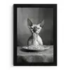 Sphynx - Kat - Dieren - Humor - Spaghetti - Zwart Wit fotolijst zwart zonder passe partout klein -3d