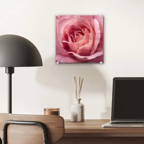Roze - Roos - Romantisch plexiglas 5mm klein -sfeer6