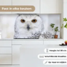 Sneeuwuil - Oog - Wildlife - Wit keuken achterwand 2 middel -sfeer4_NL