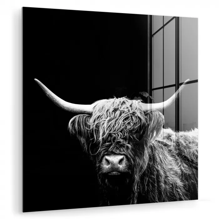 Schotse Hooglander - Koe - Zwart - Wit - Dieren plexiglas 5mm klein -zzzproduct_nieuw