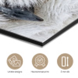 Sneeuwuil - Oog - Wildlife - Wit aluminium wit klein -closeup_NL