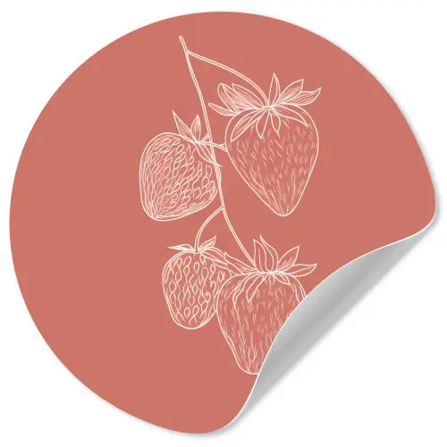 Minimalistisch - Illustratie - Aardbei - Tak Wandcirkel behangsticker klein -3d