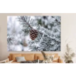 Dennenappel - Tak - Sneeuw - Winter - Sfeervol forex 5mm xxl -bovenbank