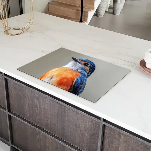 Kleurrijk - Vogeltje - Veren - Blauw Inductie beschermer vinyl 3mm klein -sfeer8