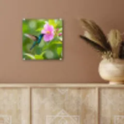 Kolibrie - Bloem - Natuur - Groen plexiglas 5mm klein -sfeer5