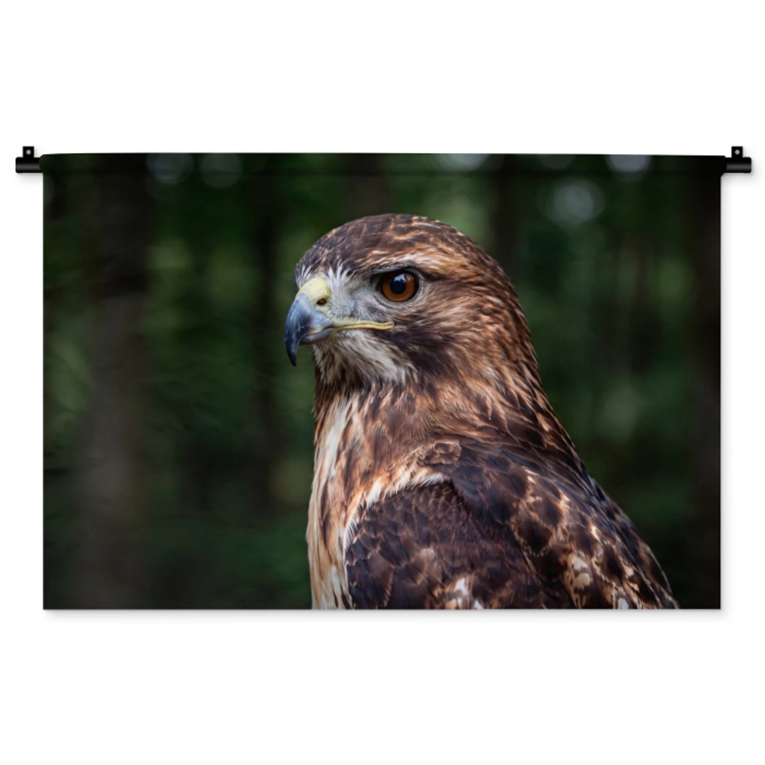 Buizerd - Roofvogel - Natuur - Bruin Wandkleed katoen middel -zz3d