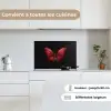 Vlinder - Rood - Minimalistisch keuken achterwand spatscherm klein -sfeer4_FR