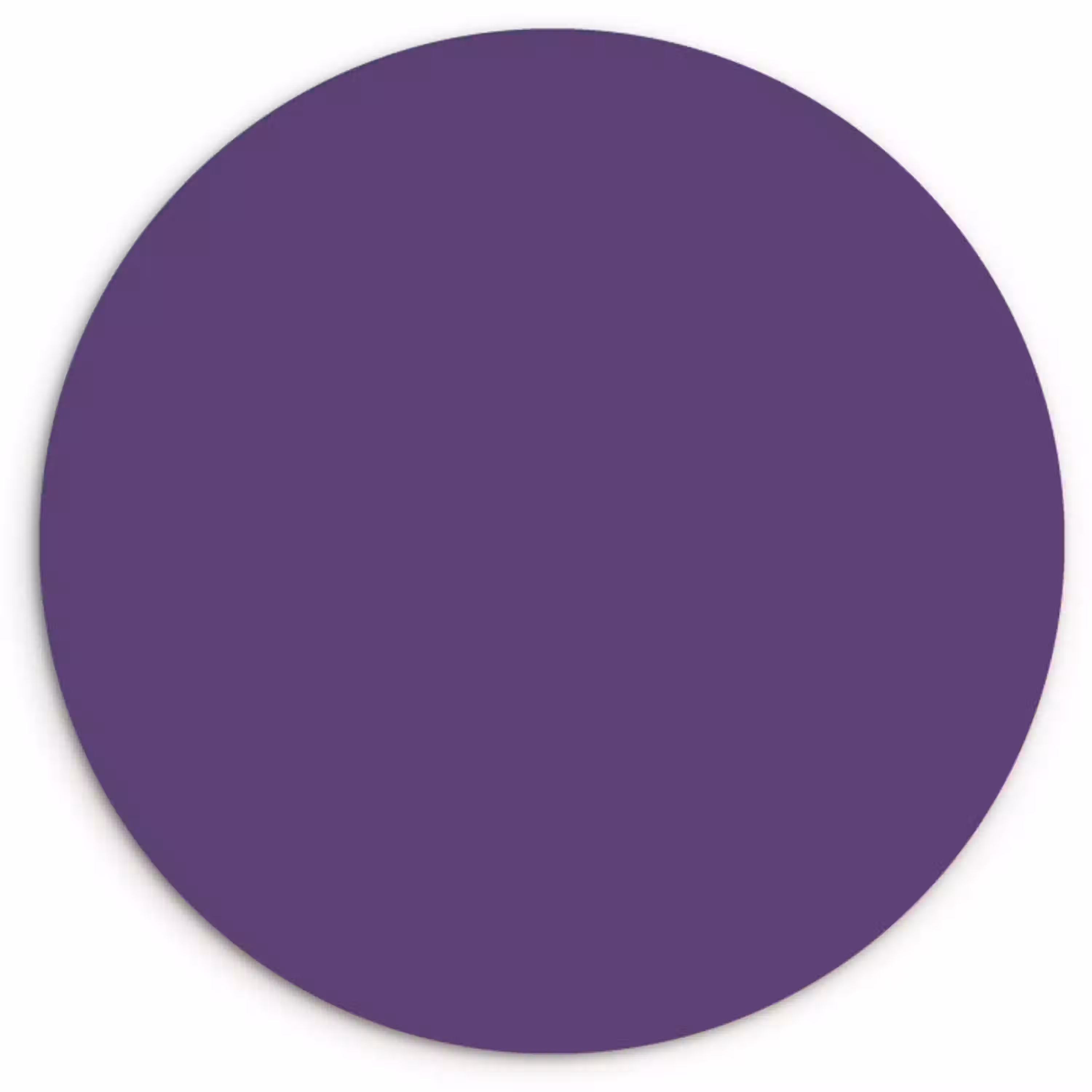 Deep - Plum - Paars Wandcirkel kunststof plaat 5mm dik klein 188 -3d